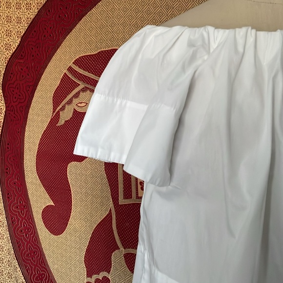 Like new Animale off the shoulder crop top - Picture 3 of 8